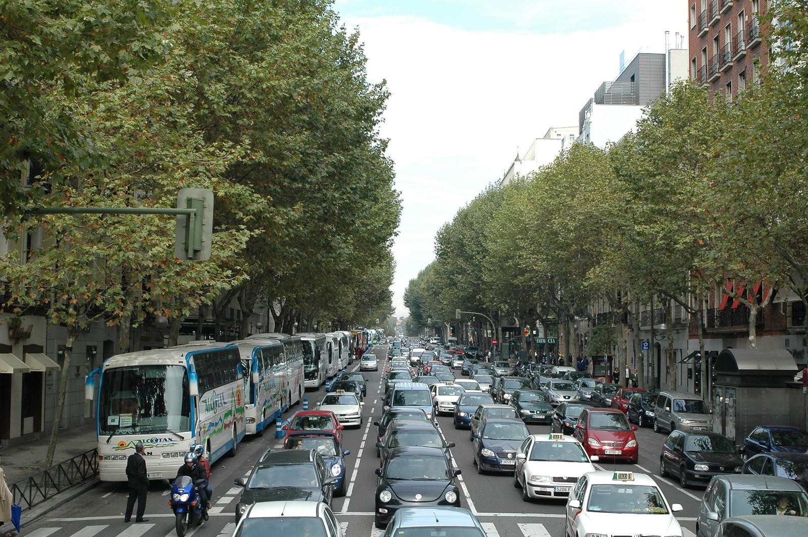Busy Madrid Street with Heavy Traffic and Trees